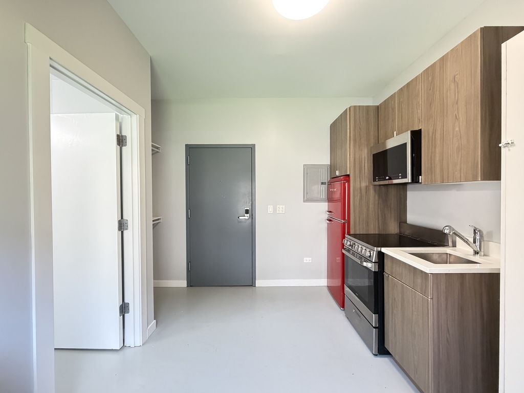 4700 North Racine Avenue, Unit 305 Chicago, IL 60640 - Photo 10 of 20