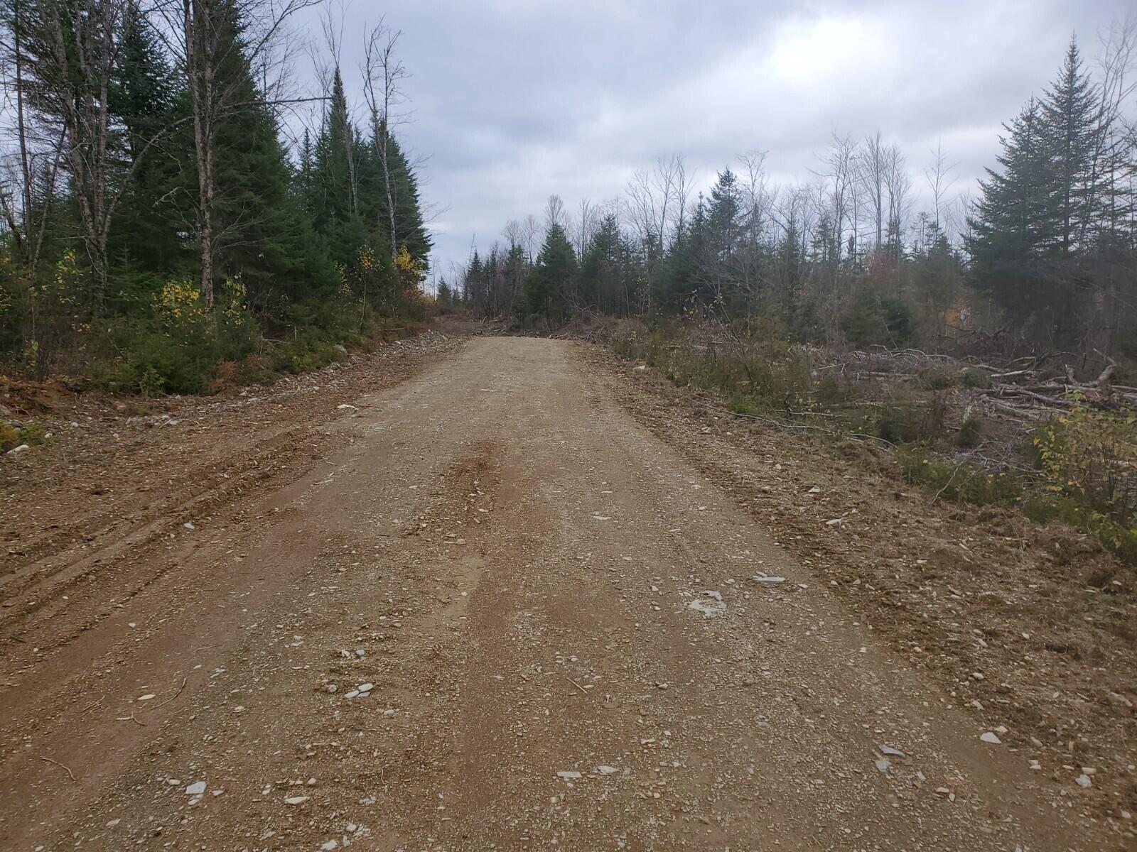 50 North Townline Road Merrill, ME 04780 - Photo 2 of 5 20211020_134209 (1)