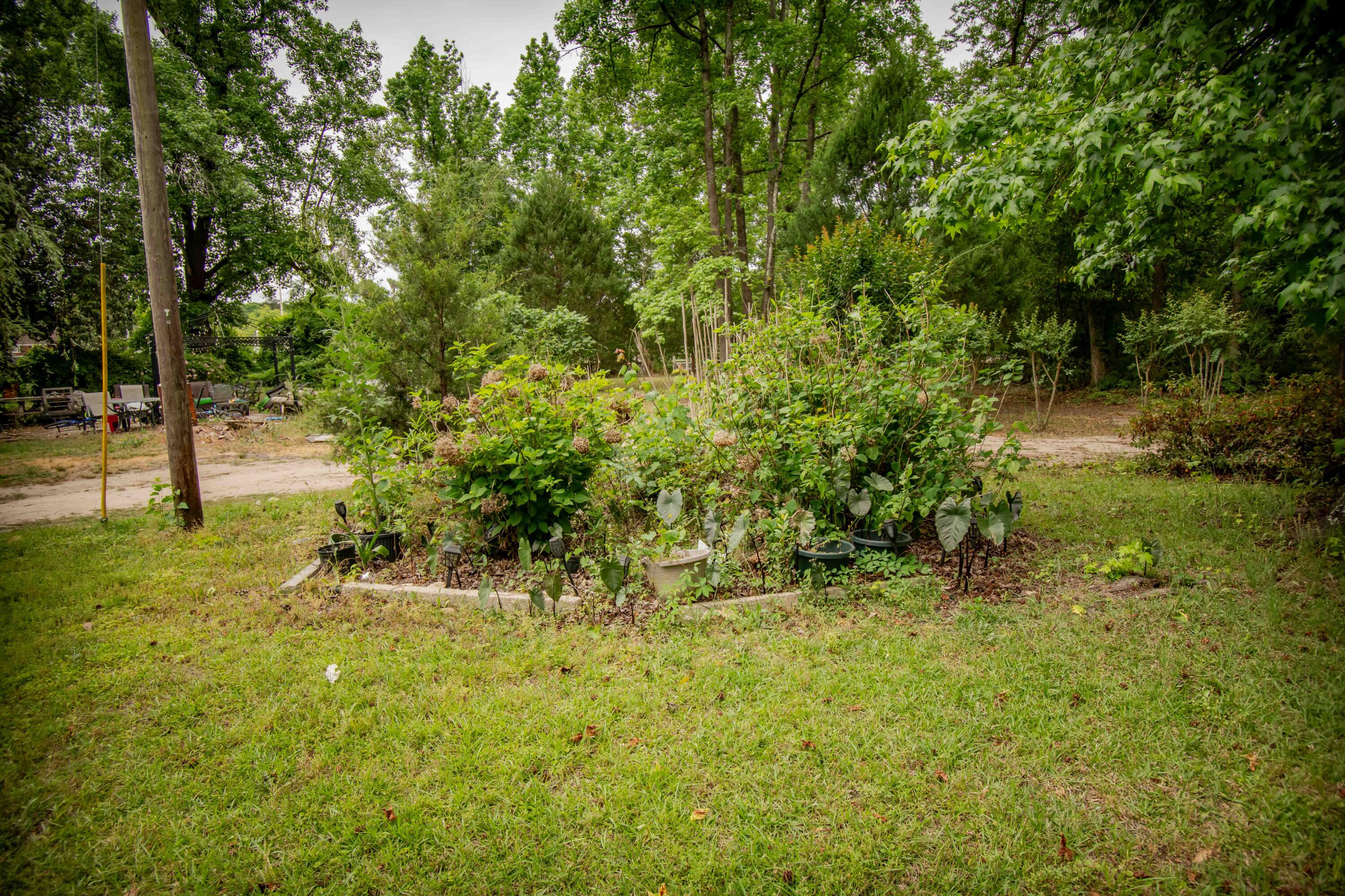 584 Rooster Ridge Road Estill, SC 29918 - Photo 36 of 42 584 RR (40)