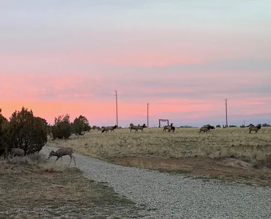 $680,000 | 12810 B South Road, Glade Park, CO 81523