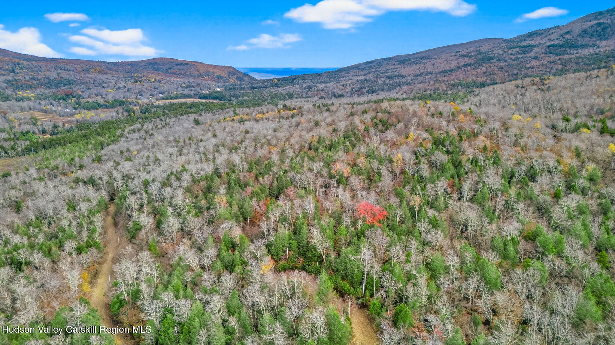 1 Corfu Road Elka Park, NY 12427 - Photo 8 of 19 DJI_20251026142612_0091_D