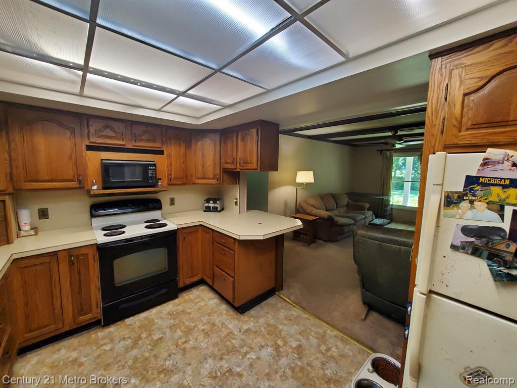 4620 Mt Morris Road Columbiaville, MI 48421 - Photo 9 of 24