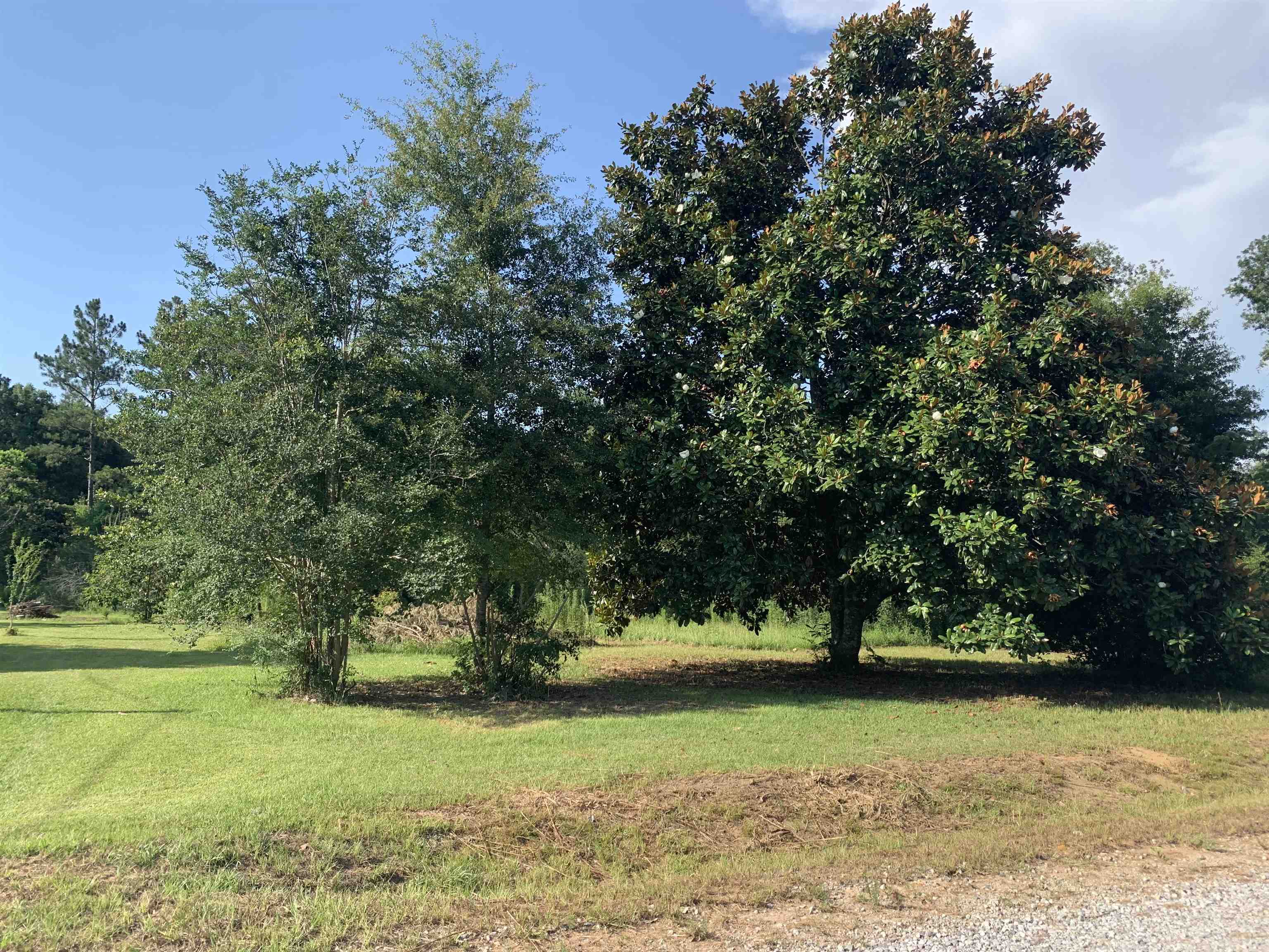 26131 Ponderosa Farm Road East Robertsdale, AL 36567 - Photo 2 of 5