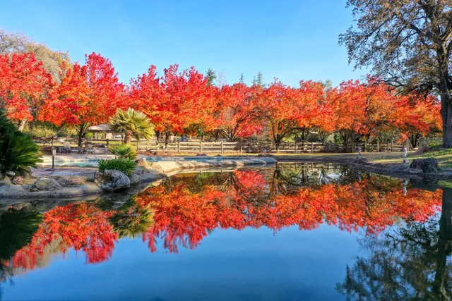 $3,195,000 | 9475 King Road, Loomis, CA 95650