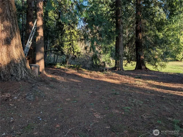 a view of a yard with plants and trees
