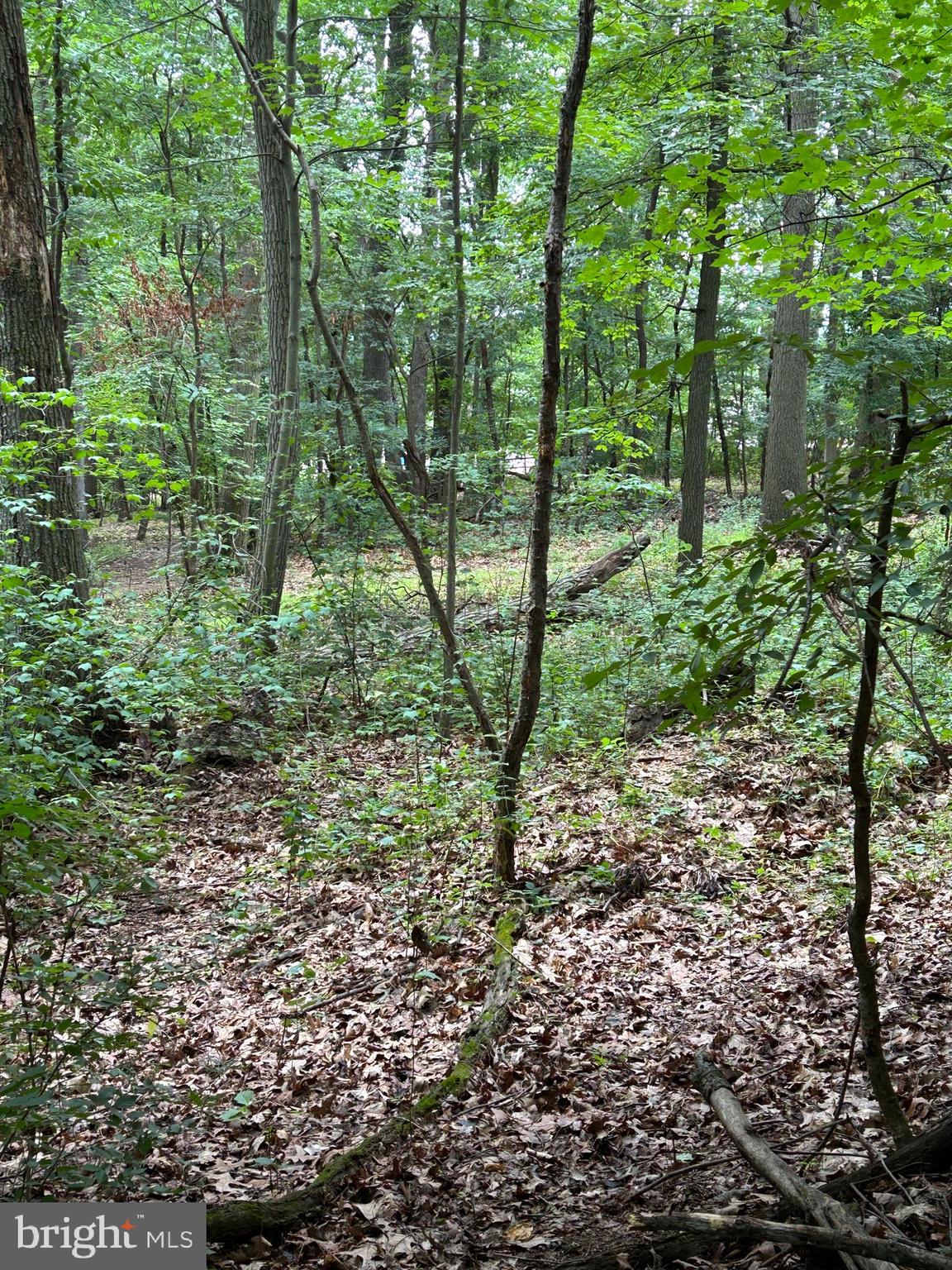 6863 Kreidler Road York, PA 17403 - Photo 77 of 81 Gallery Image 77