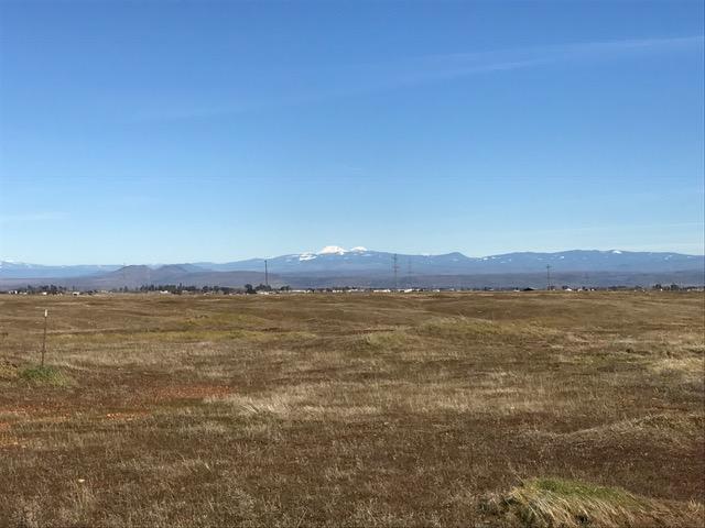 Lot D Stewart Road Red Bluff, CA 96080 - Photo 3 of 12 Pasture
