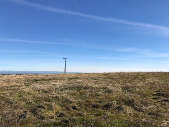 Lot D Stewart Road Red Bluff, CA 96080 - Photo 8 of 12 Dry Pasture
