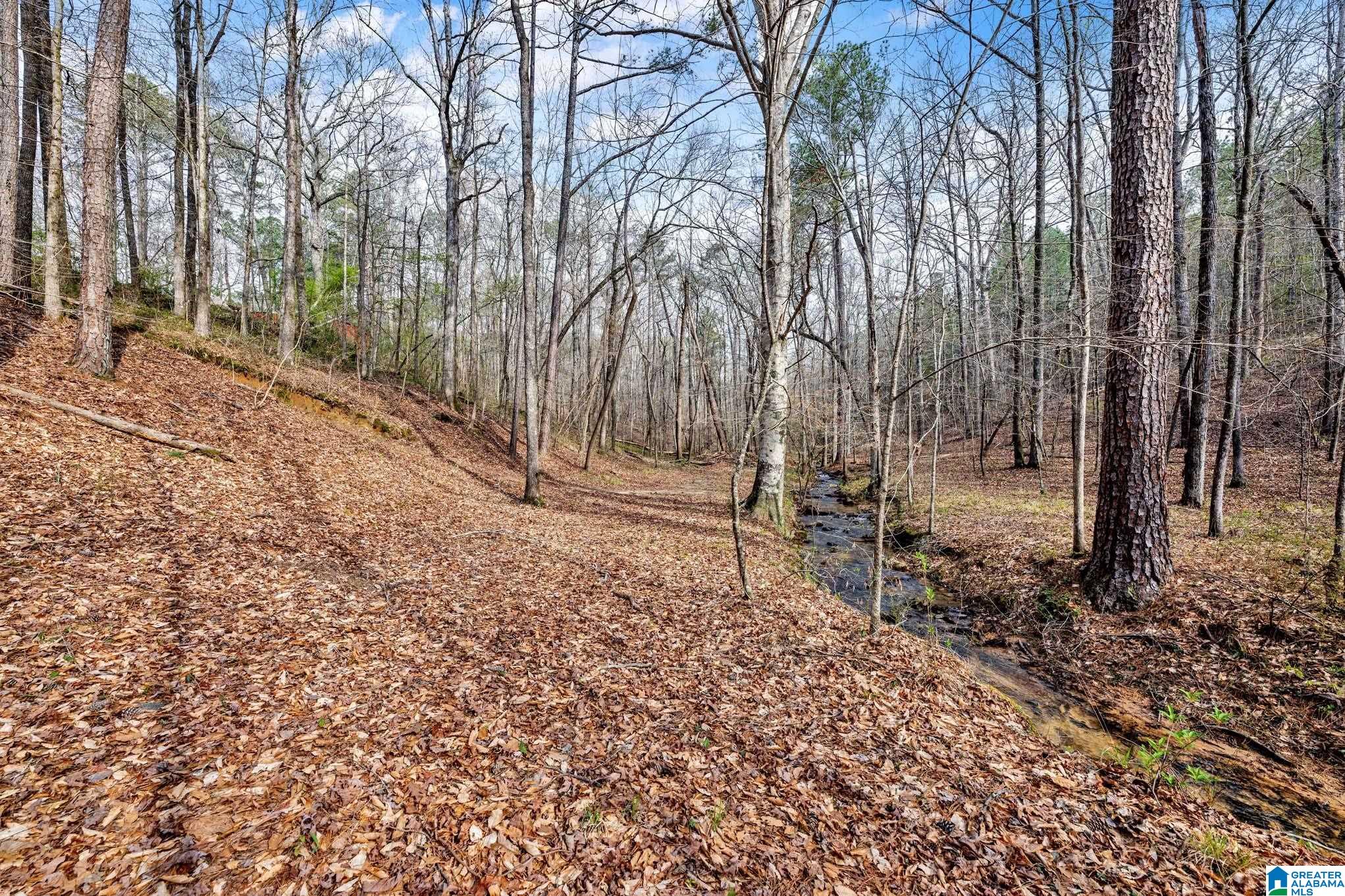 510 Myrick Road Warrior, AL 35180 - Photo 55 of 61