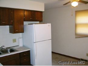 2236 South 9th Street Springfield, IL 62703 - Photo 4 of 6