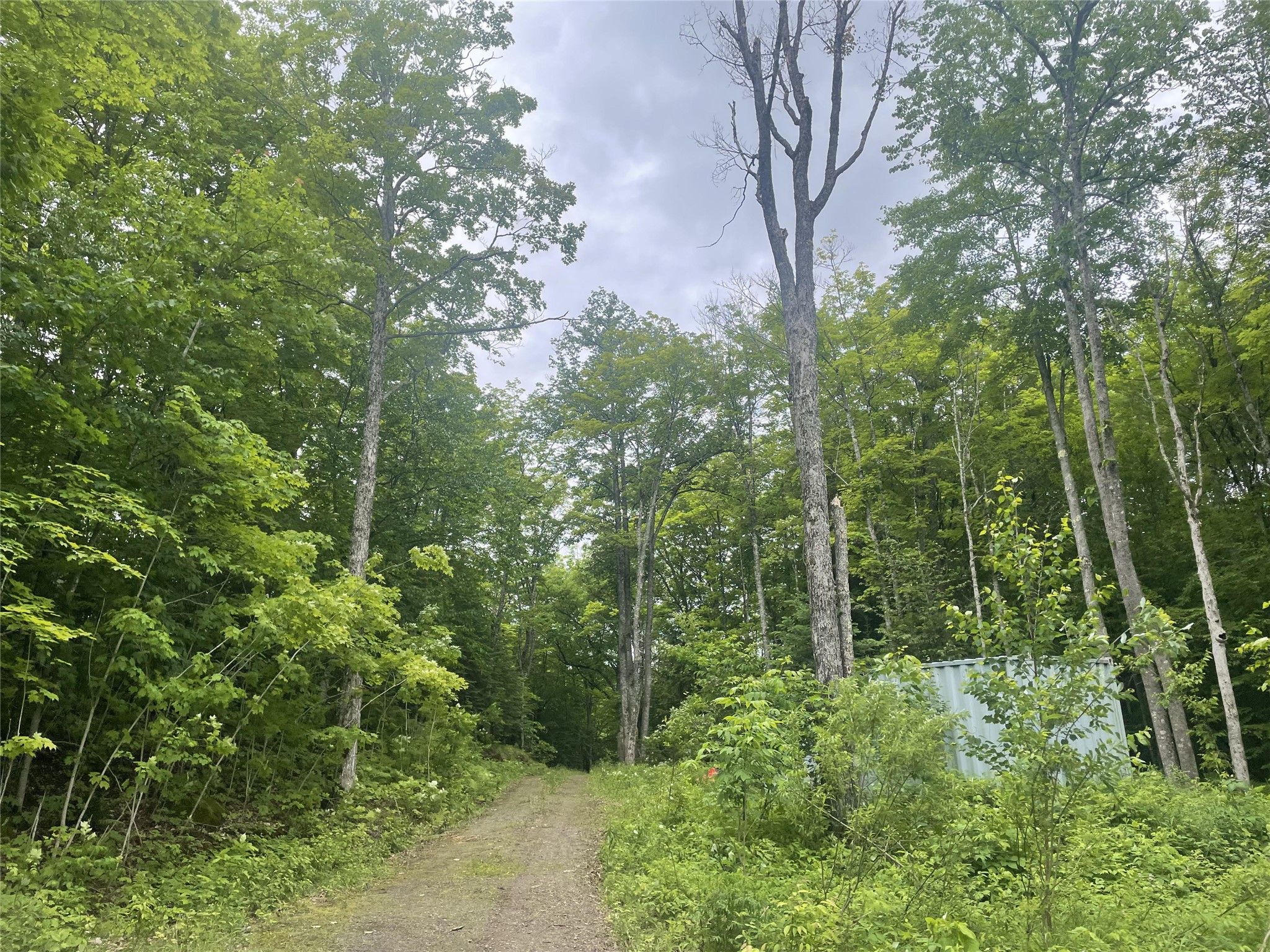 71224 Thole Road Mellen, WI 54546 - Photo 25 of 28