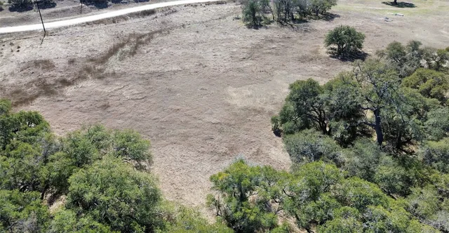 a view of a dry yard with trees and plants