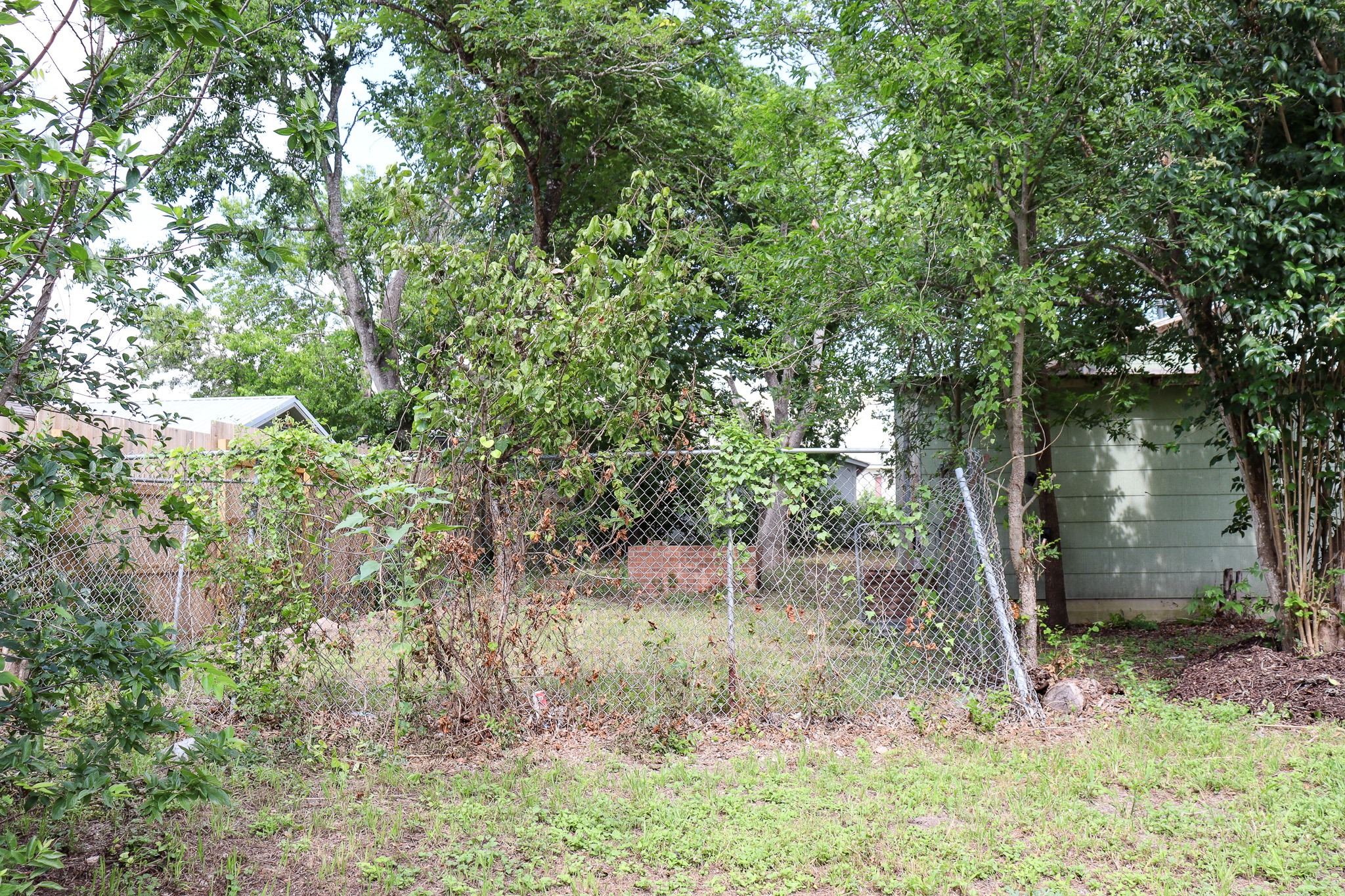 803 3rd Street Lockhart, TX 78644 - Photo 12 of 15 a backyard of a house with lots of plants and large tree