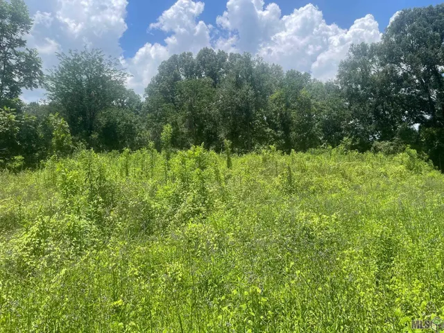 $39,000 | Lot 67 Sunnybrook Drive, Baton Rouge, LA 70814