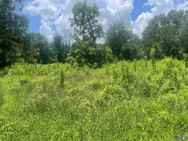 $39,000 | Lot 67 Sunnybrook Drive, Baton Rouge, LA 70814