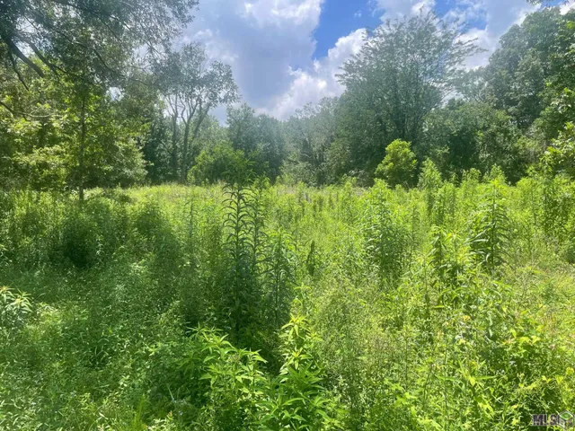 $39,000 | Lot 67 Sunnybrook Drive, Baton Rouge, LA 70814