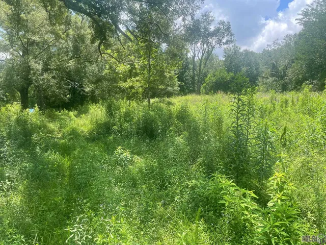 $39,000 | Lot 67 Sunnybrook Drive, Baton Rouge, LA 70814