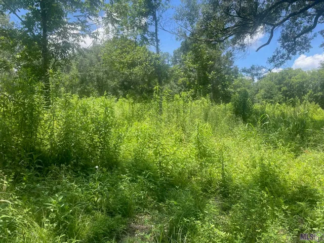 $39,000 | Lot 67 Sunnybrook Drive, Baton Rouge, LA 70814