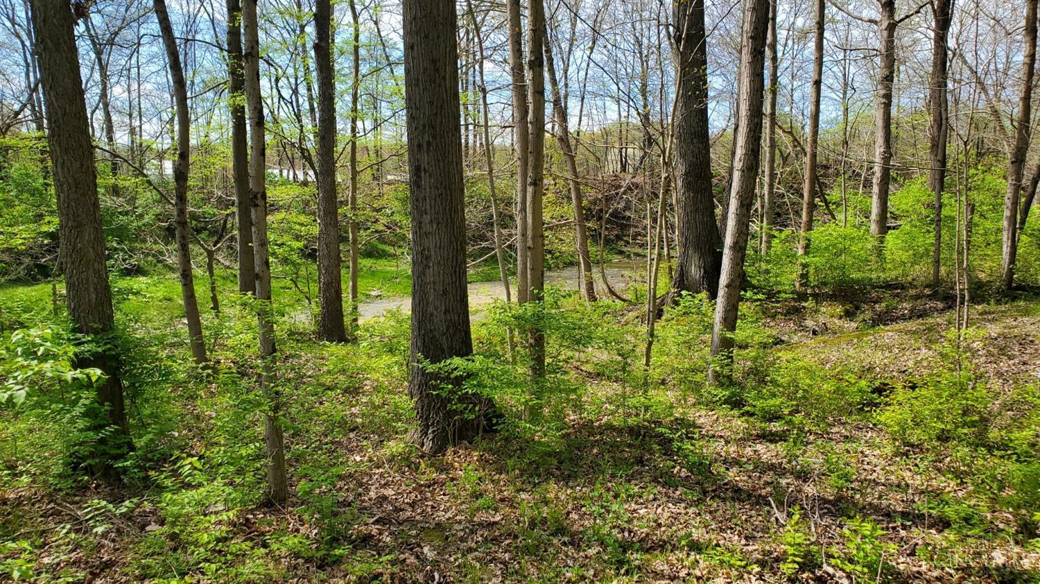 Acres Acres Sicily Road Mount Orab, OH 45154 - Photo 11 of 12
