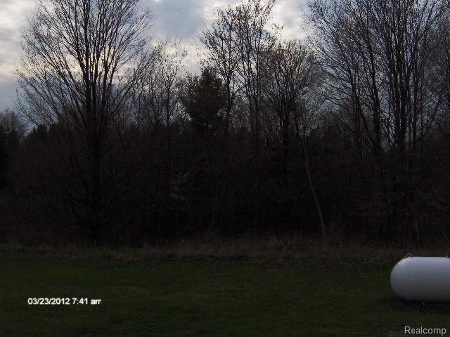 2168 Bray Road Attica, MI 48412 - Photo 5 of 17 yard 3.jpg