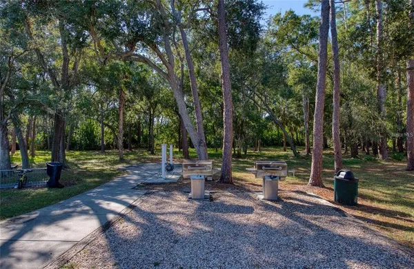 a view of a park with large trees