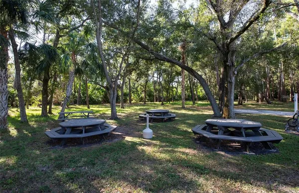 a view of a park with large trees