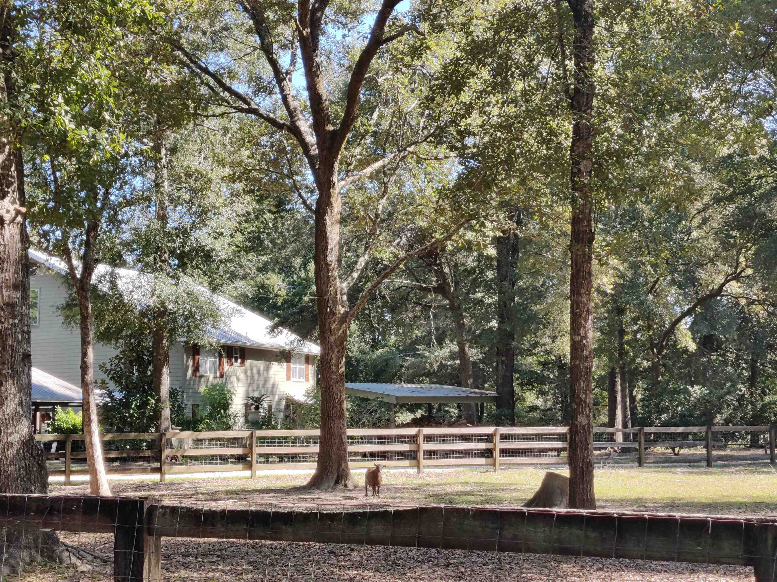 24250 River Road North Daphne, AL 36526 - Photo 3 of 80 Main House