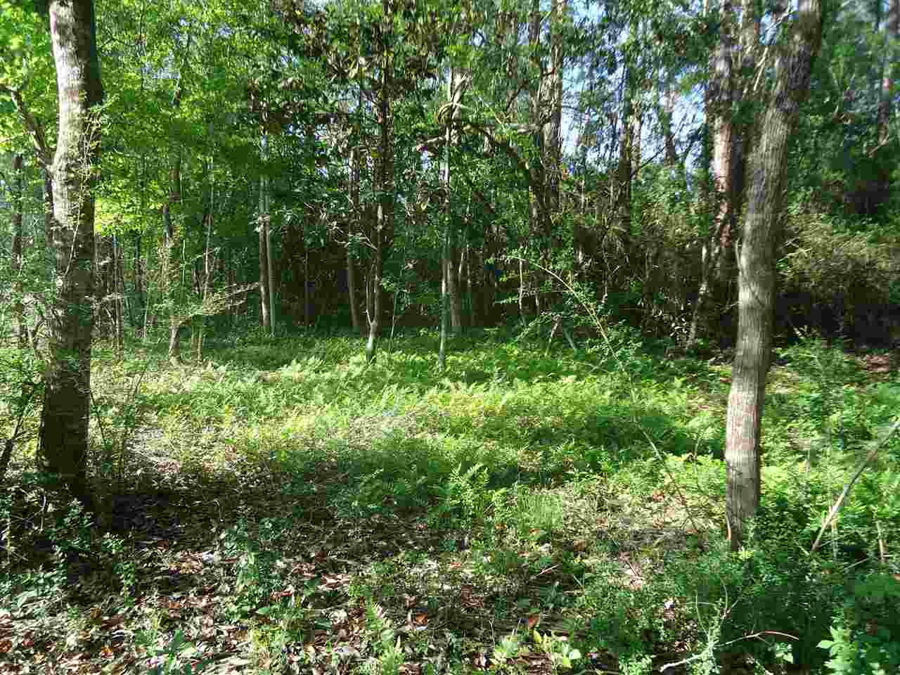 0 Hammock Road Elberta, AL 36530 - Photo 12 of 15