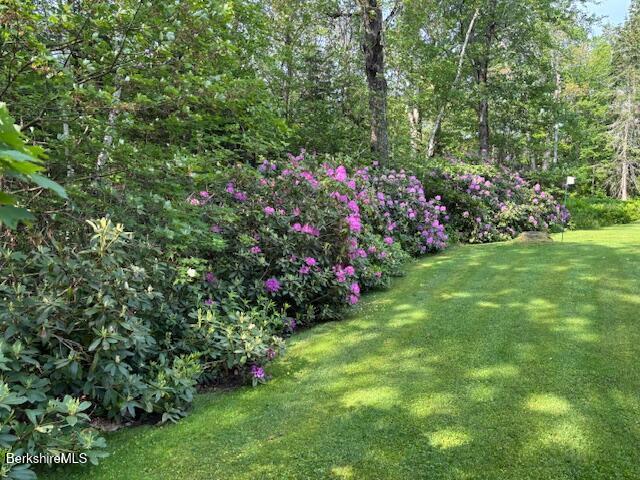 4 Birch Hill Road Peru, MA 01235 - Photo 58 of 61 mature landscape