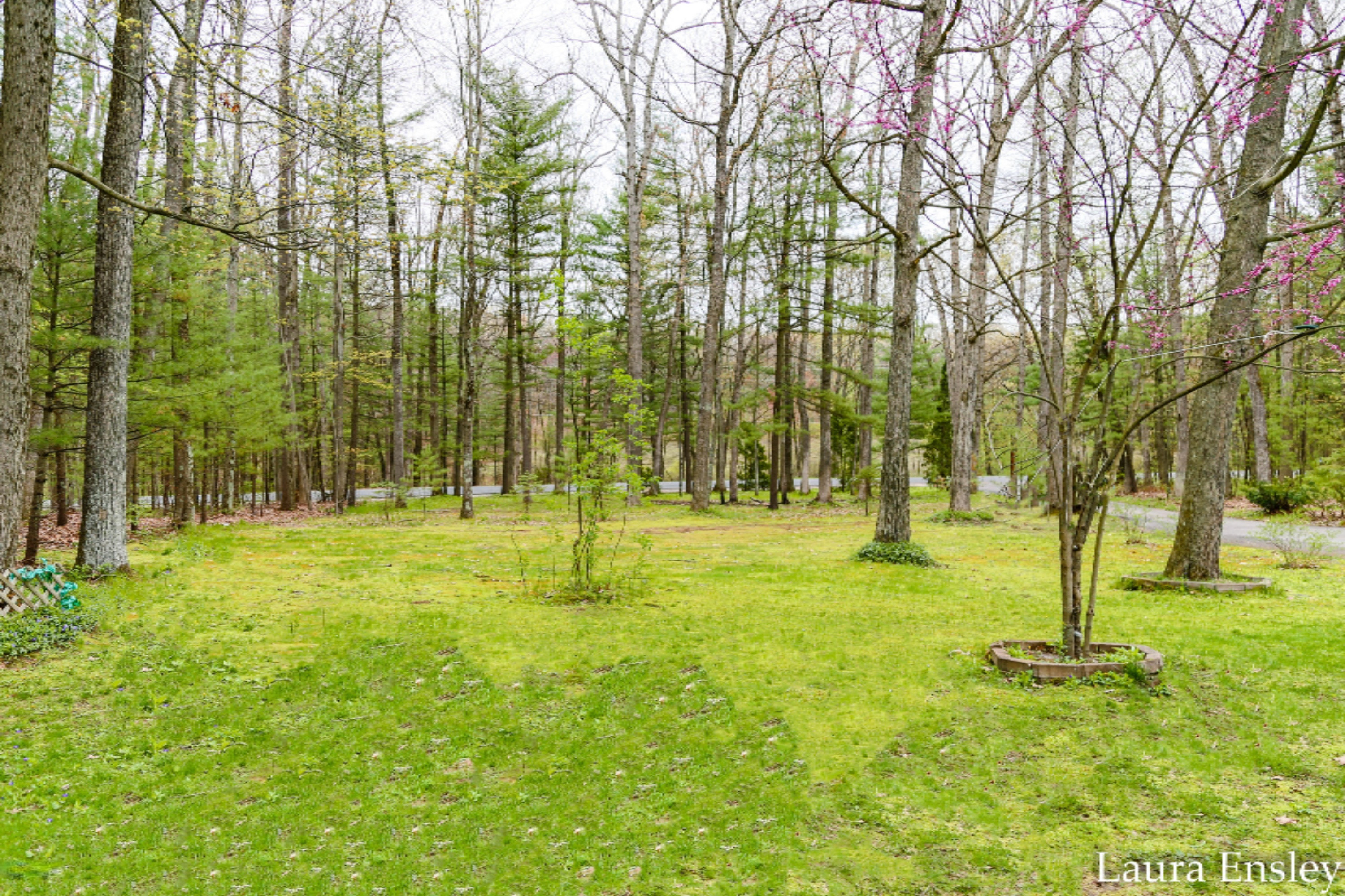 22175 West Wood Lake Road Pierson, MI 49339 - Photo 8 of 21 IMG_0685