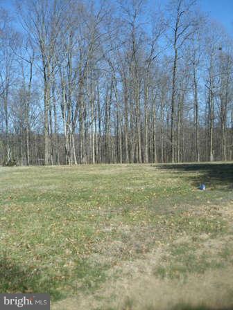 12365 Rixeyville Road Culpeper, VA 22701 - Photo 11 of 11 Exterior (Rear)