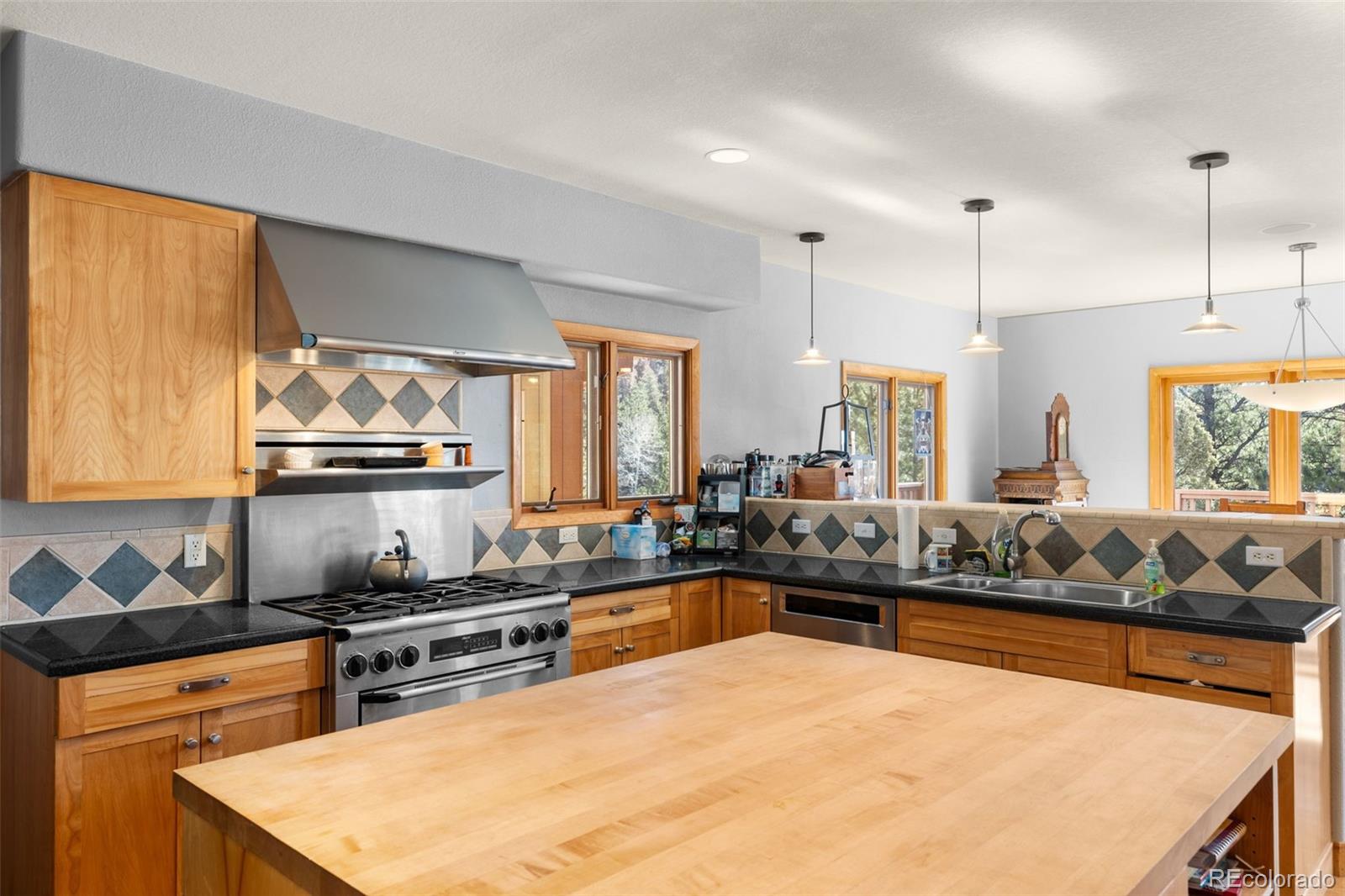 13445 Baird Road Conifer, CO 80433 - Photo 17 of 50 a kitchen with stainless steel appliances a sink and a stove