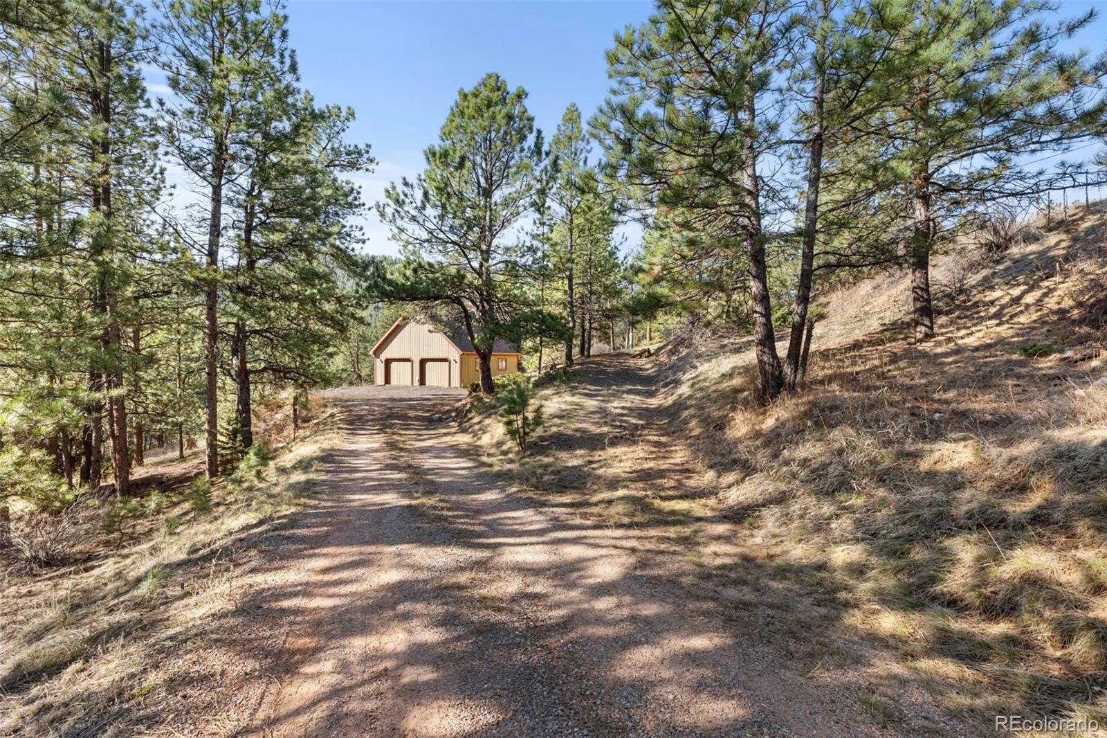 13445 Baird Road Conifer, CO 80433 - Photo 47 of 50 a view of a tree in front of a house