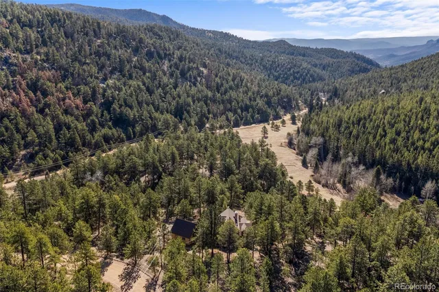 a view of a dry yard