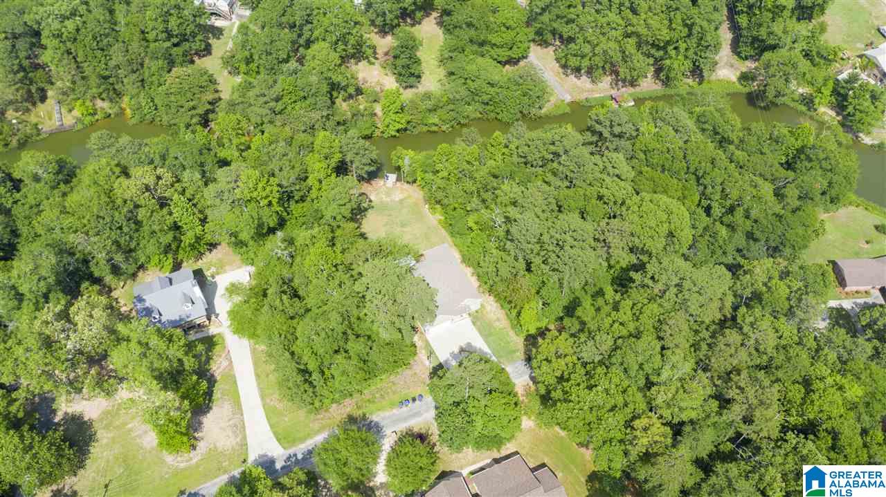 115 Lakeview Point Riverside, AL 35135 - Photo 48 of 50 Gallery Image 48
