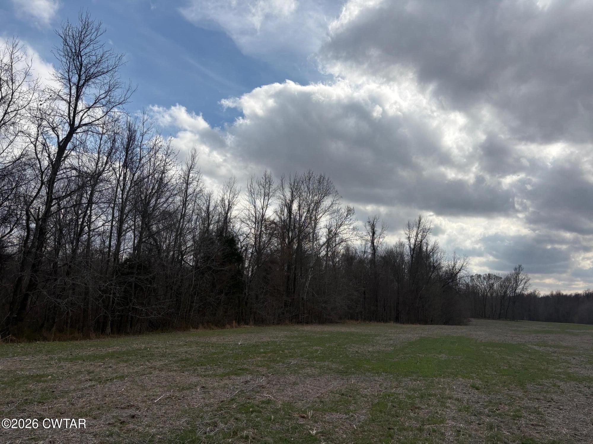 0 Bald Knob Road Ripley, TN 38063 - Photo 11 of 11 IMG_1322