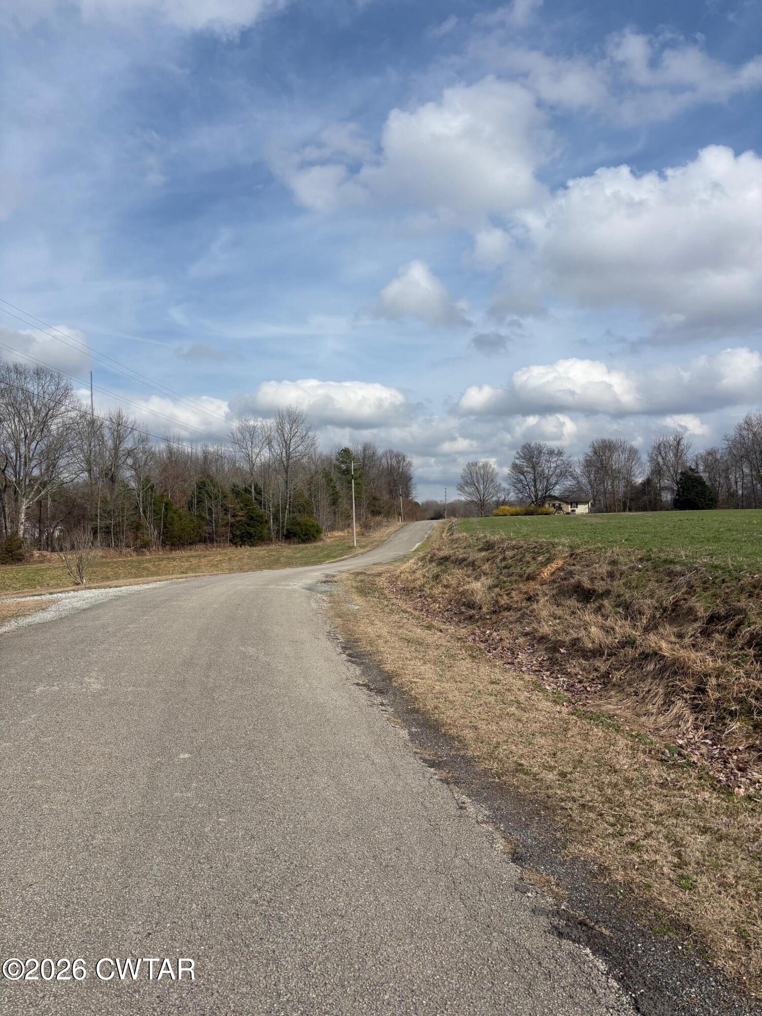 0 Bald Knob Road Ripley, TN 38063 - Photo 2 of 11 IMG_1313