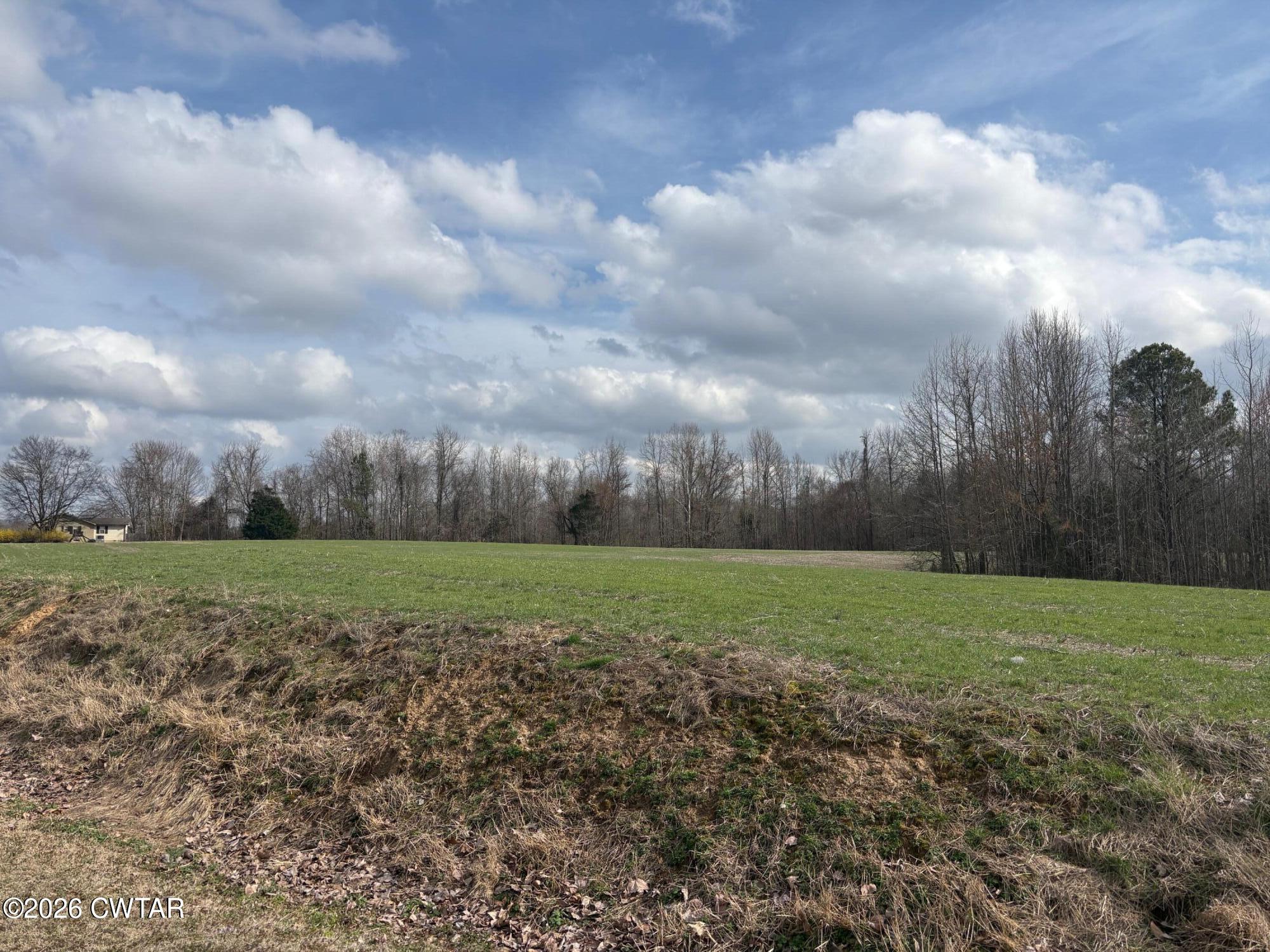 0 Bald Knob Road Ripley, TN 38063 - Photo 4 of 11 IMG_1315