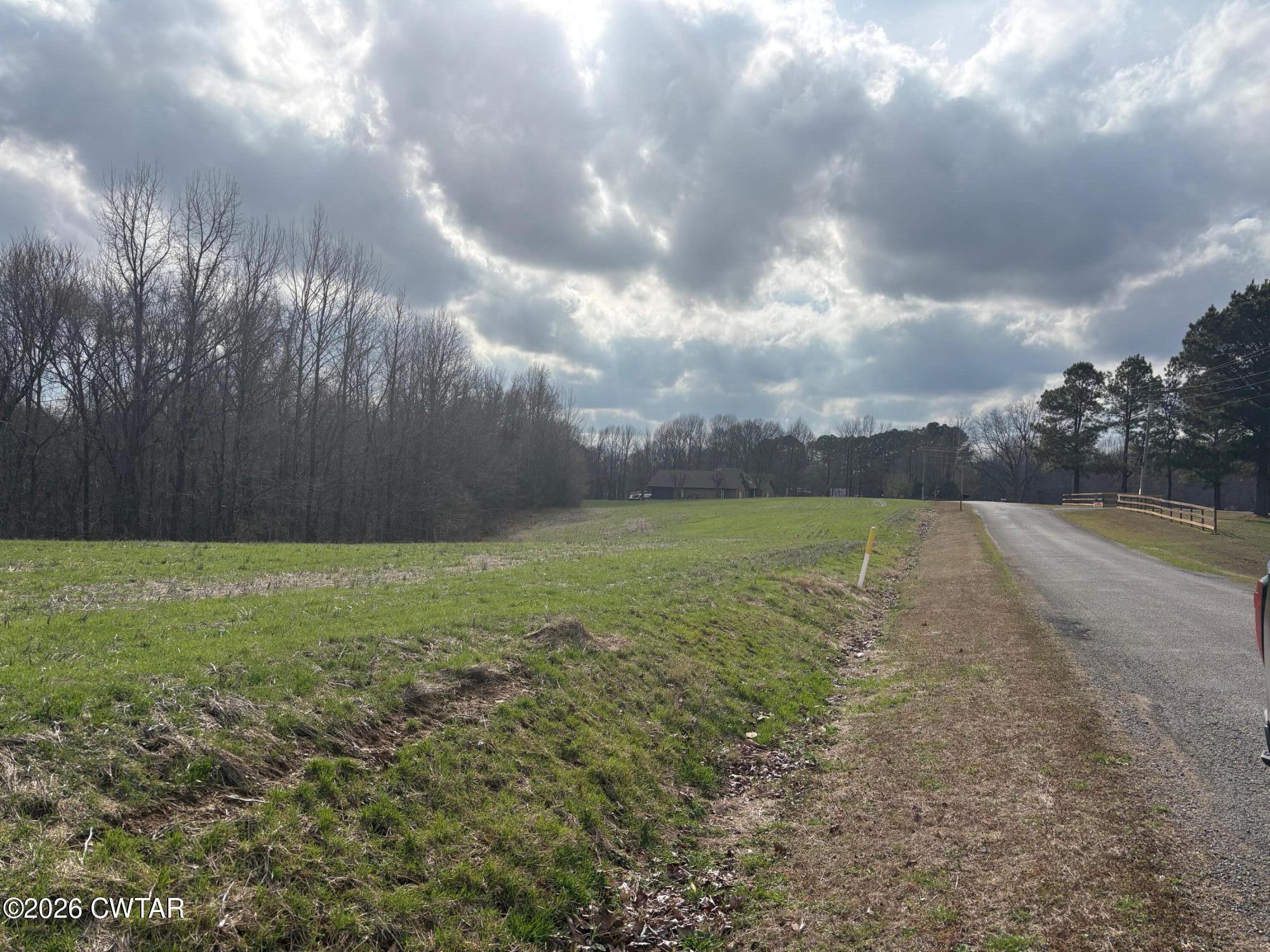 0 Bald Knob Road Ripley, TN 38063 - Photo 5 of 11 IMG_1316