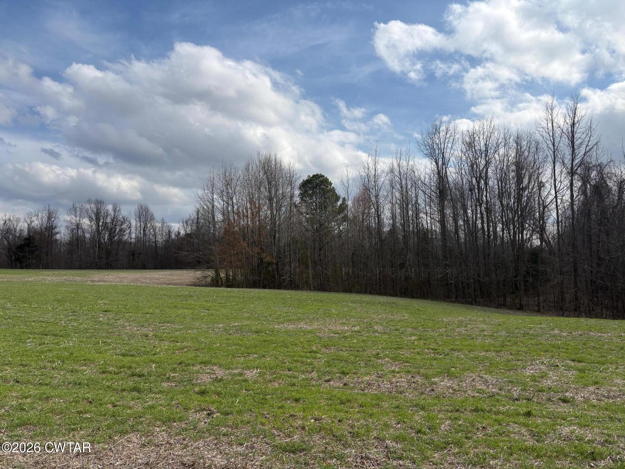 0 Bald Knob Road Ripley, TN 38063 - Photo 6 of 11 IMG_1317