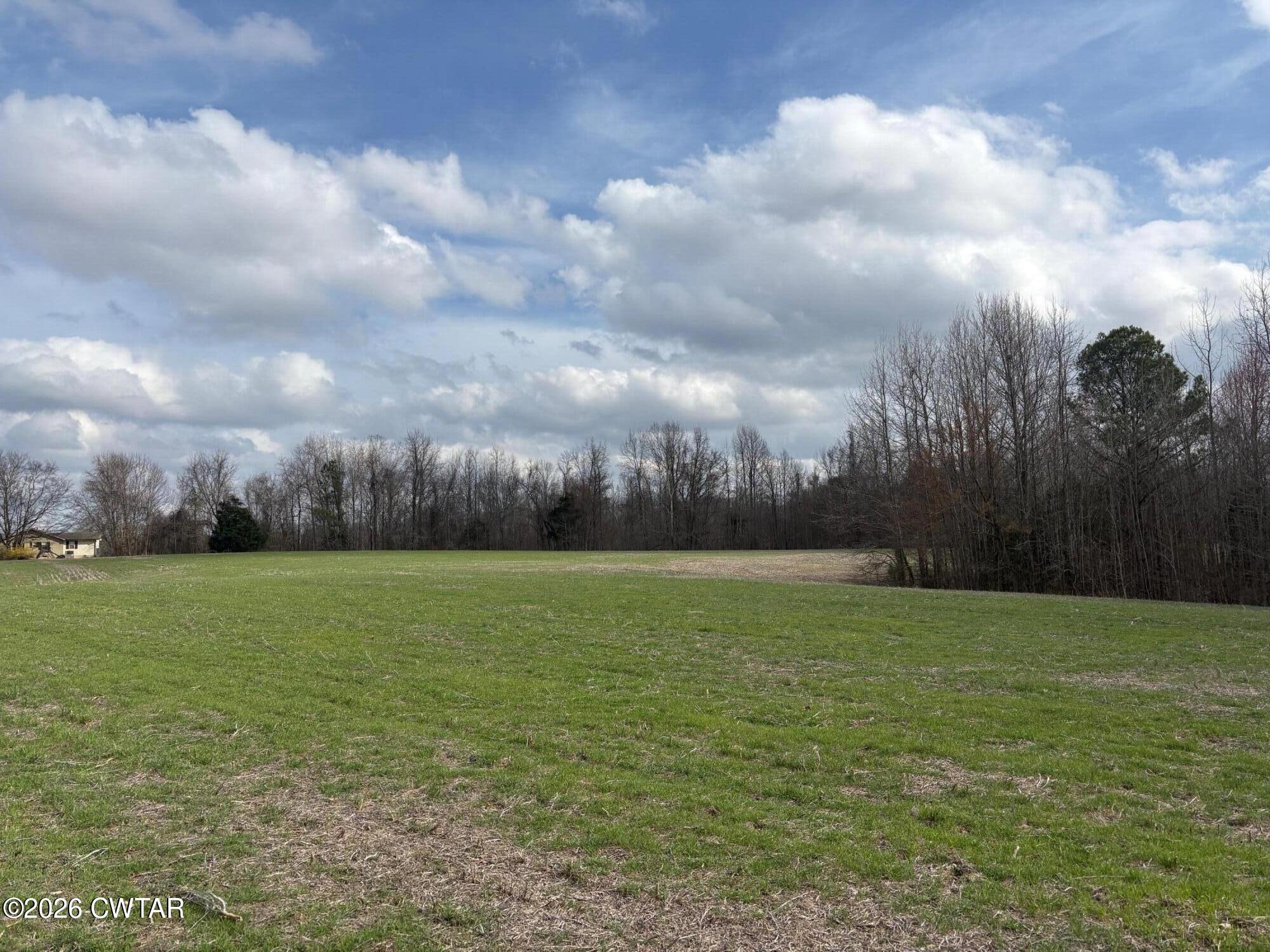 0 Bald Knob Road Ripley, TN 38063 - Photo 7 of 11 IMG_1318