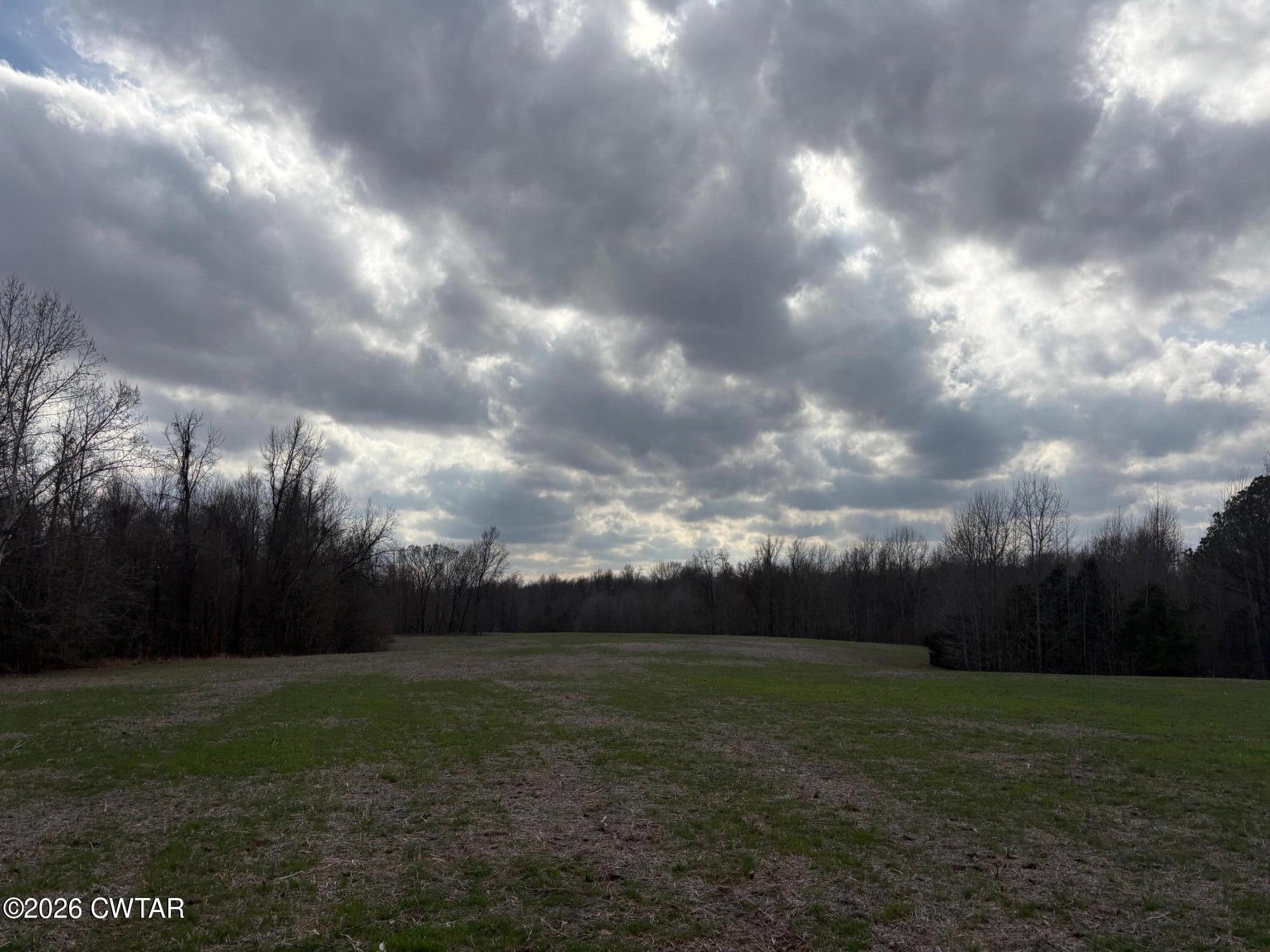 0 Bald Knob Road Ripley, TN 38063 - Photo 9 of 11 IMG_1320