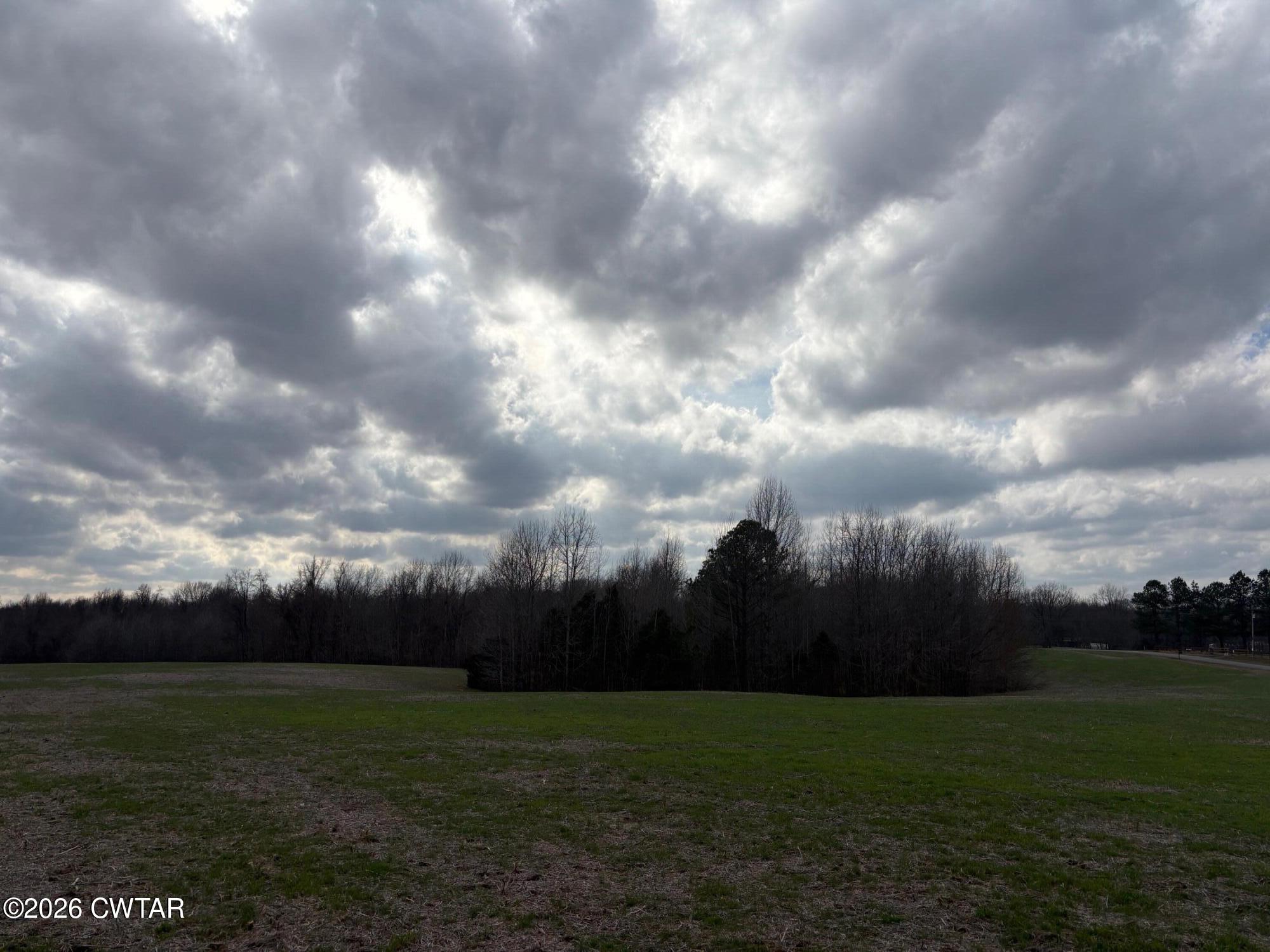 0 Bald Knob Road Ripley, TN 38063 - Photo 10 of 11 IMG_1321