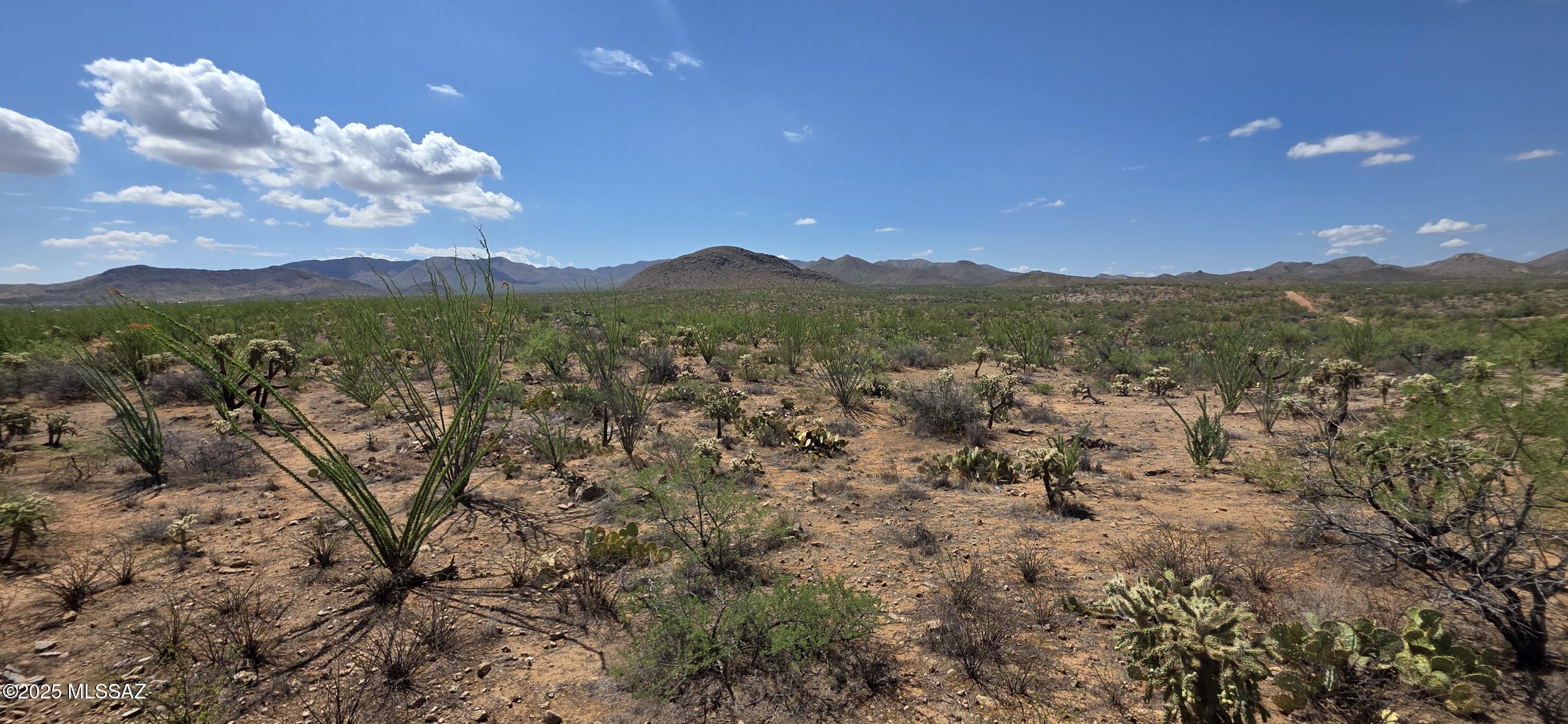 Tbd South Garvey Road Tucson, AZ 85736 - Photo 4 of 13