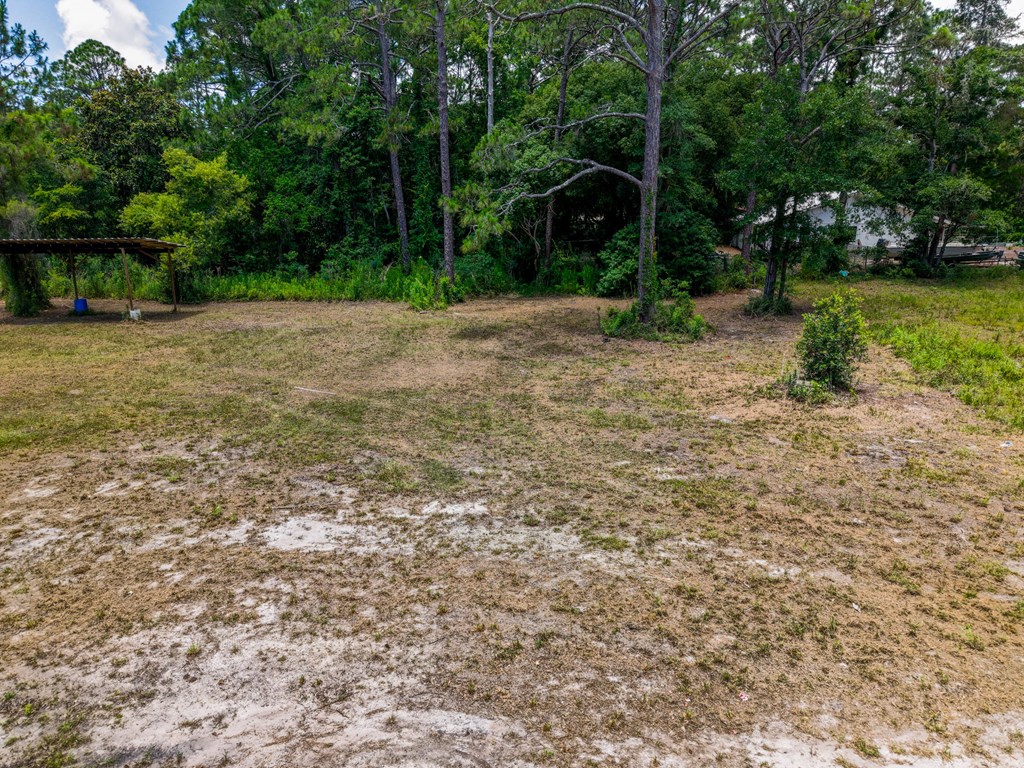 1111 Copacetic Road Carrabelle, FL 32322 - Photo 3 of 10