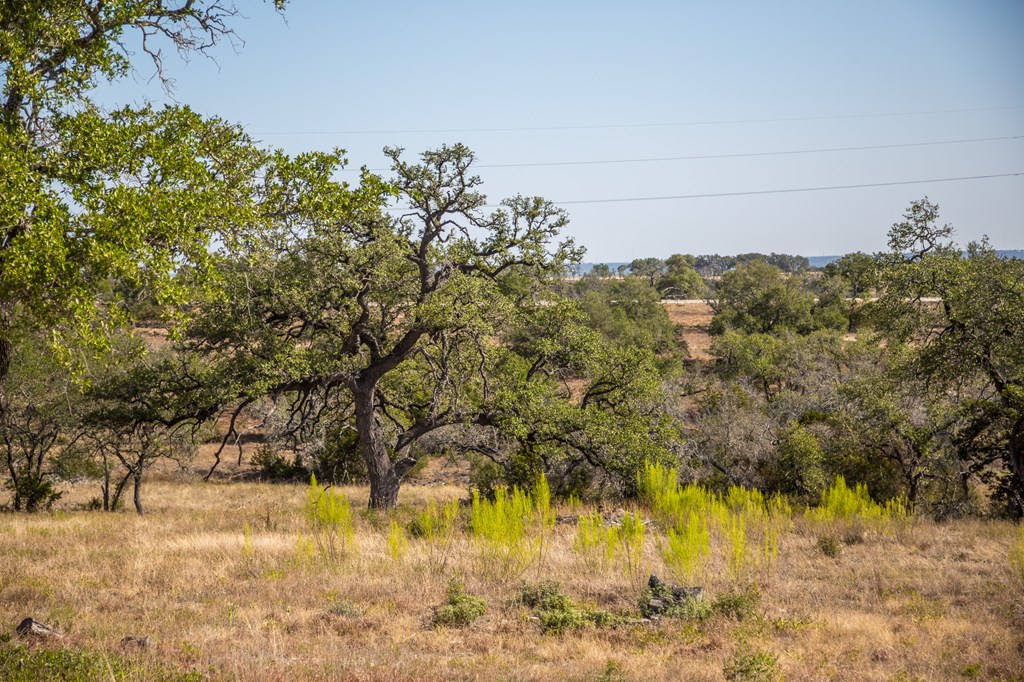 Tbd Tbd Other Center Point, TX 78010 - Photo 18 of 24