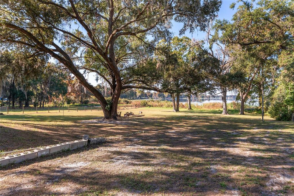 6459 West Riverbend Road Dunnellon, FL 34433 - Photo 60 of 74