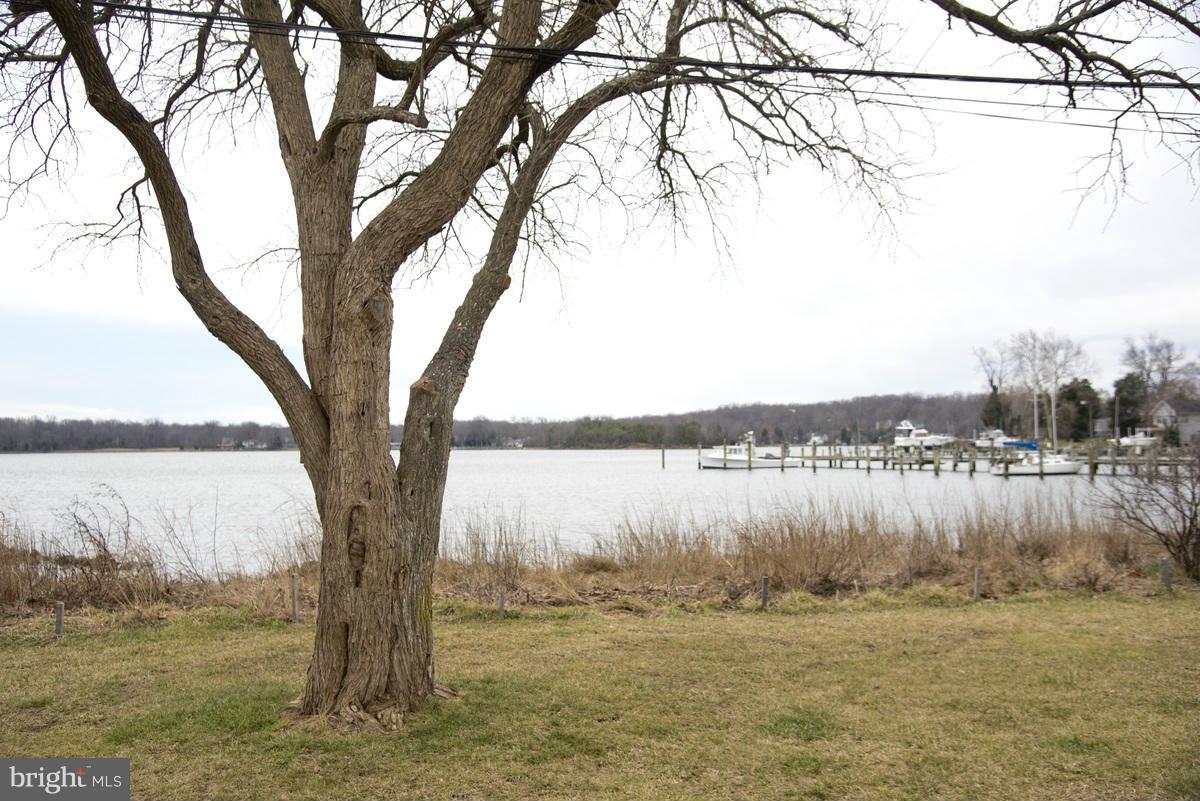 1605 Bishop Road Edgewater, MD 21037 - Photo 25 of 25 Tranquil moments