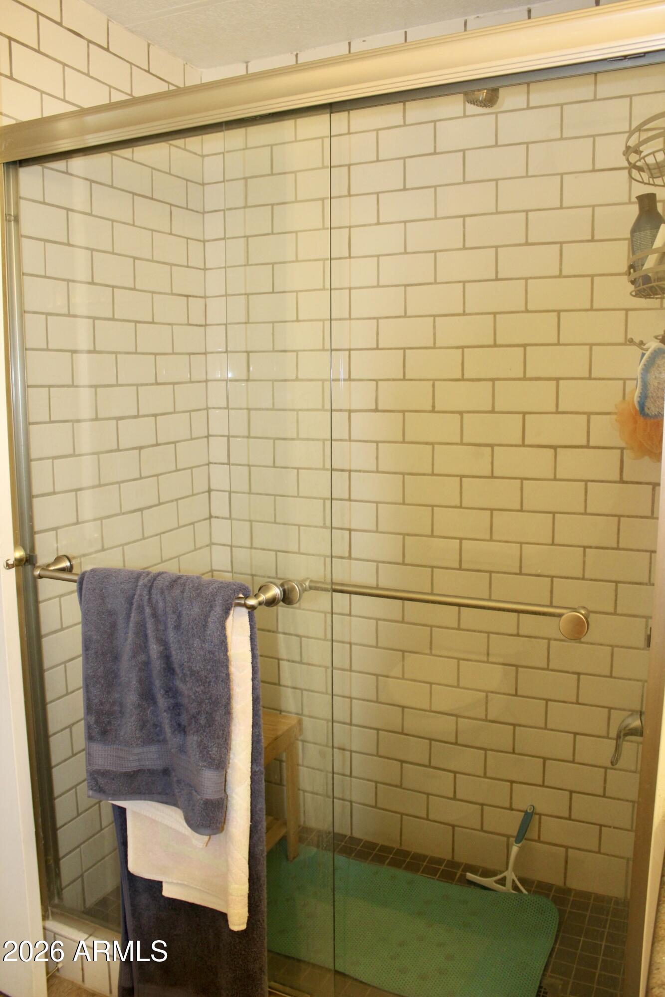 2605 South Tomahawk Road, Unit 227 Apache Junction, AZ 85119 - Photo 14 of 20 IMG_7290