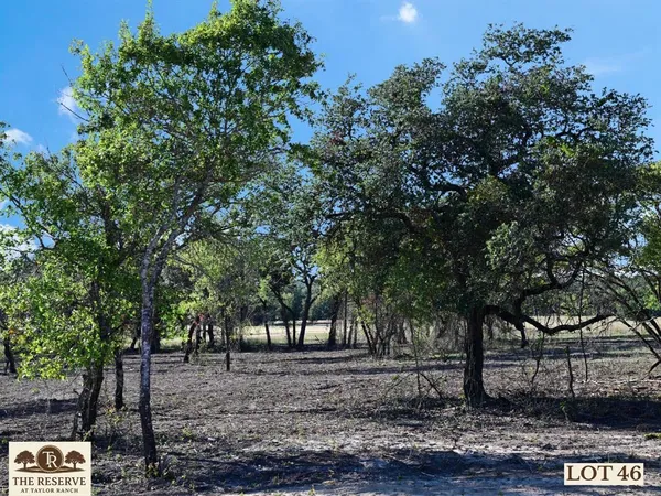 a view of outdoor space with trees